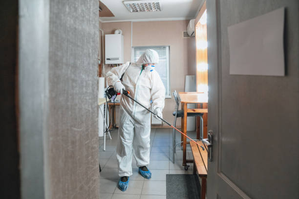 Best Mold Prevention Services  in Yorklyn, PA