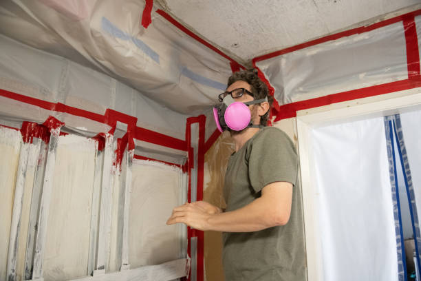 Best Environmental Consulting for Mold Prevention  in Yorklyn, PA