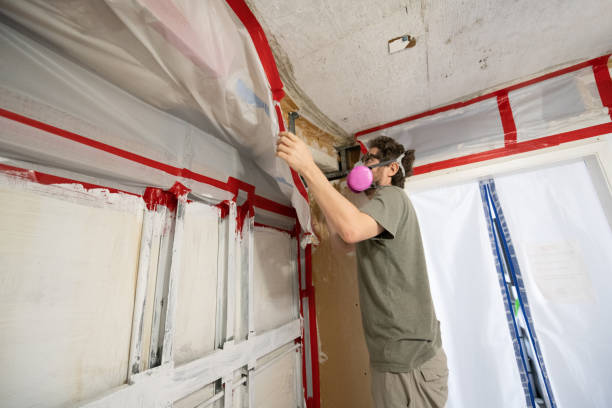 Mold Documentation for Insurance Claims